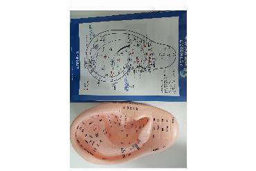 건강아카데미 이침교육